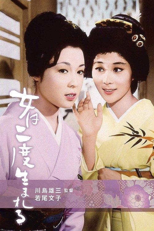 A Geisha's Diary filmas online