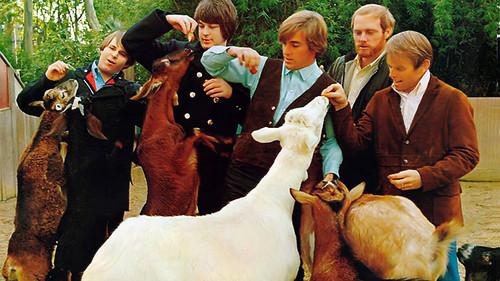 The Beach Boys: Endless Harmony filmas žiurėti online