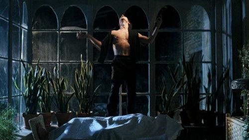 The Sacrament filmas žiurėti online