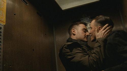 Câmp de maci filmas žiurėti online
