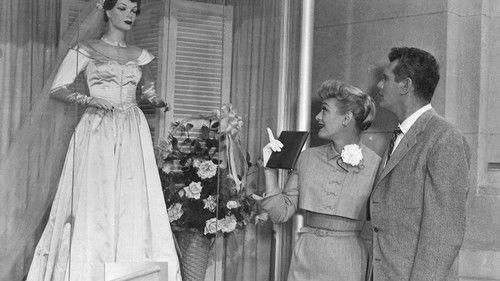 Our Miss Brooks filmas žiurėti online