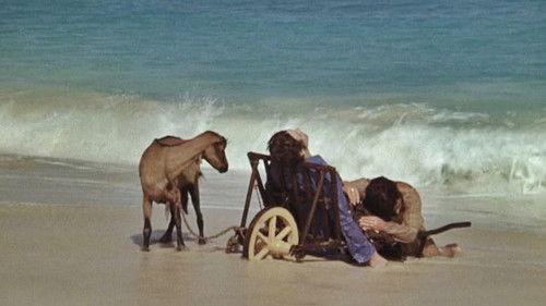 I Will Walk Like a Crazy Horse filmas žiurėti online