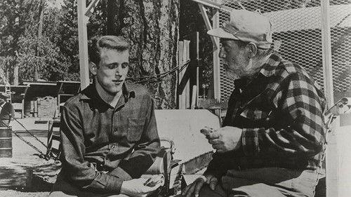 Freckles filmas žiurėti online