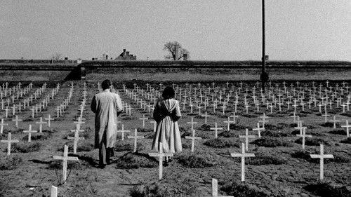 Daleká cesta filmas žiurėti online