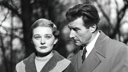 The Real End of the Great War filmas žiurėti online