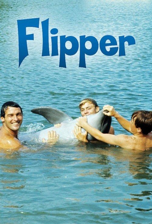 Flipper filmas online