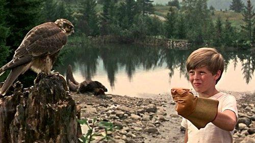 My Side of the Mountain filmas žiurėti online