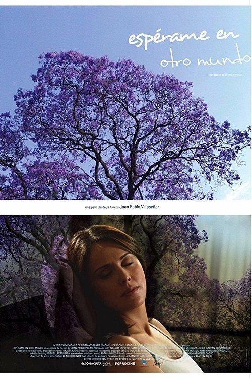 Wait for Me in Another World filmas online