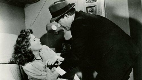 Fear No More filmas žiurėti online