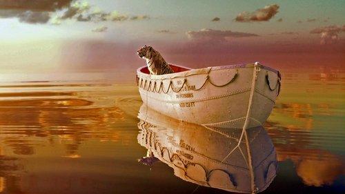 Pi gyvenimas filmas žiurėti online