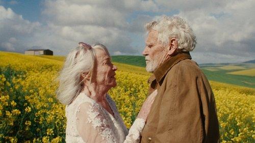 A Kind of Madness filmas žiurėti online