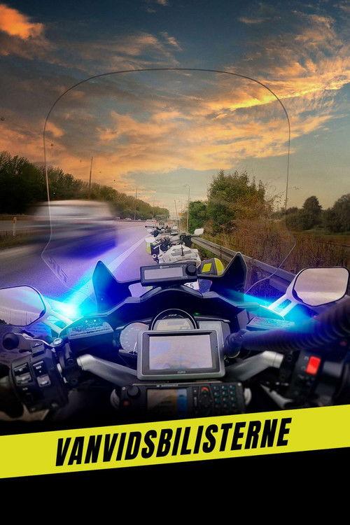Vanvidsbilisterne filmas online