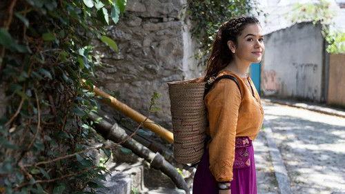 Pai em Dobro filmas žiurėti online