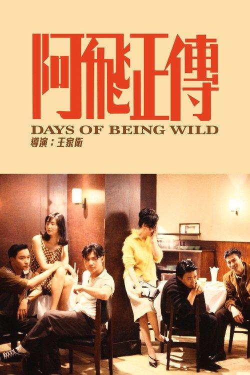 Days of Being Wild filmas online