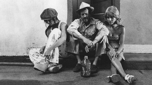 Dixie Dynamite filmas žiurėti online