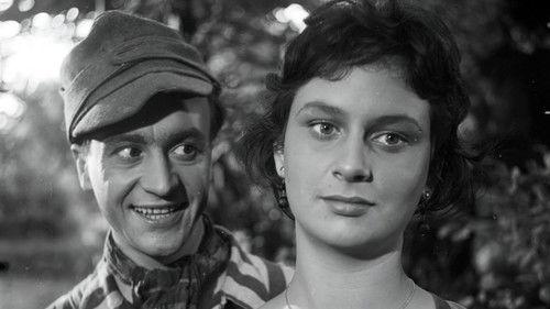 Godziny nadziei filmas žiurėti online