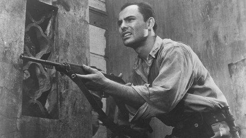 The Ravagers filmas žiurėti online