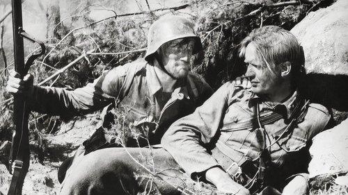 Tuntematon sotilas filmas žiurėti online