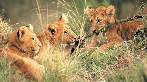 Living Free filmas žiurėti online