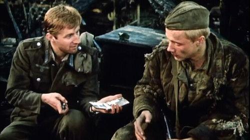 Sashka filmas žiurėti online