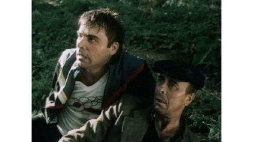 The Gardener filmas žiurėti online