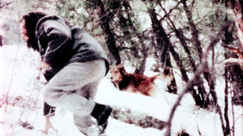 The Art of Vision filmas žiurėti online