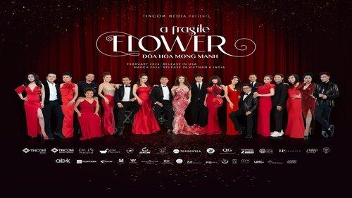Một Bông Hoa Mong manh filmas žiurėti online