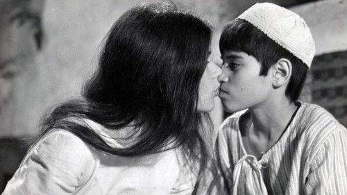 I Love You Rosa filmas žiurėti online