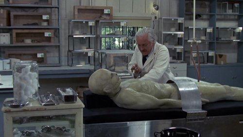 Sssssss filmas žiurėti online