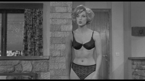 Adventure at the Motel filmas žiurėti online