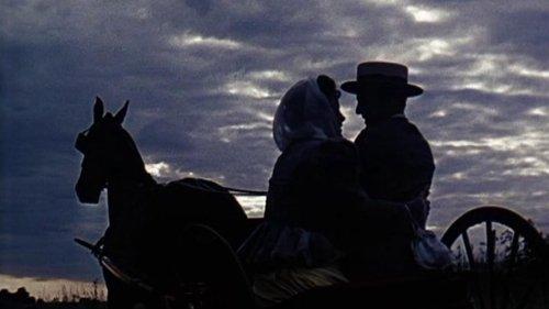 Wait Till the Sun Shines, Nellie filmas žiurėti online