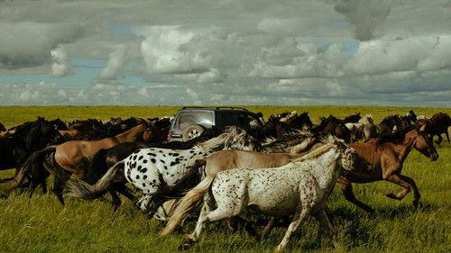 Striding Into the Wind filmas žiurėti online