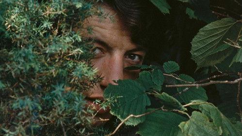 Kimen filmas žiurėti online