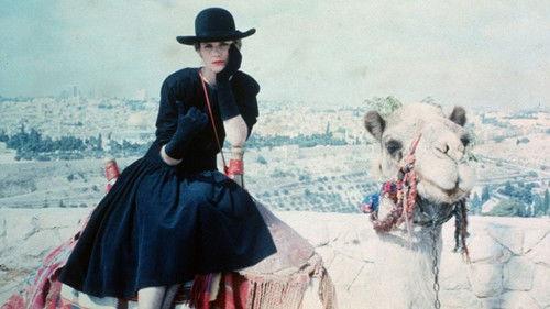 Goodbye, New York filmas žiurėti online