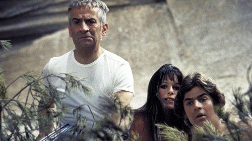 Sur un arbre perché filmas žiurėti online