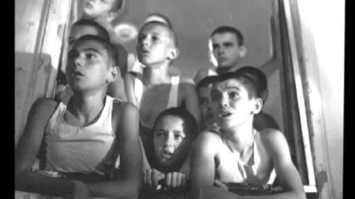 Red Poppies on the Wall filmas žiurėti online