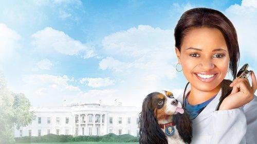 Daktaras Dolitlis 4. Prezidento šuo filmas žiurėti online