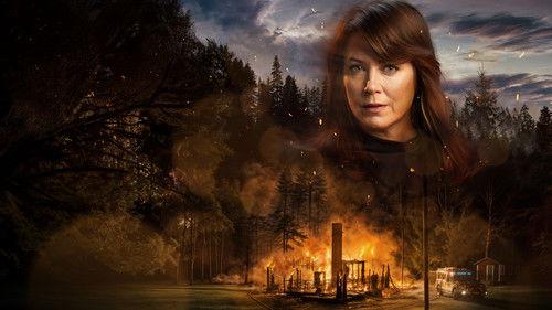 Beck 53 - Ur askan filmas žiurėti online