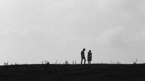 Spring Night, Summer Night filmas žiurėti online