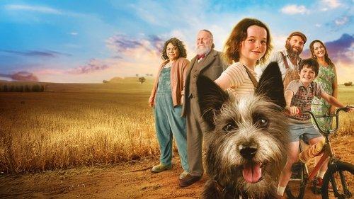 Mažasis Čempionas filmas žiurėti online