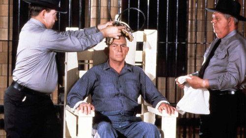 Murder in Coweta County filmas žiurėti online