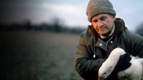 Laughterhouse filmas žiurėti online