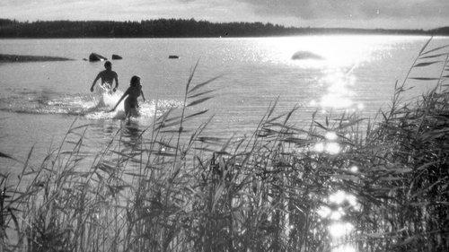 Hon dansade en sommar filmas žiurėti online