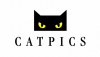 Catpics AG studio logo