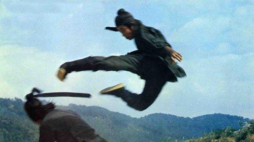 Revenge of a Shaolin Master filmas žiurėti online