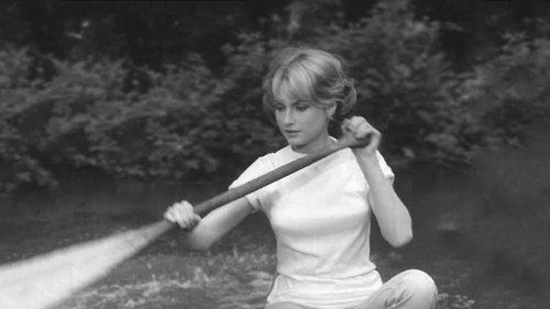 A Bullet in the Gun Barrel filmas žiurėti online