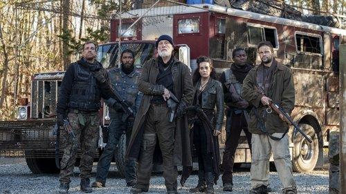 The Survivalist filmas žiurėti online