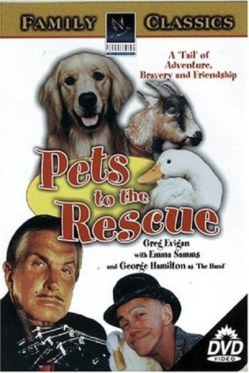 Pets filmas online
