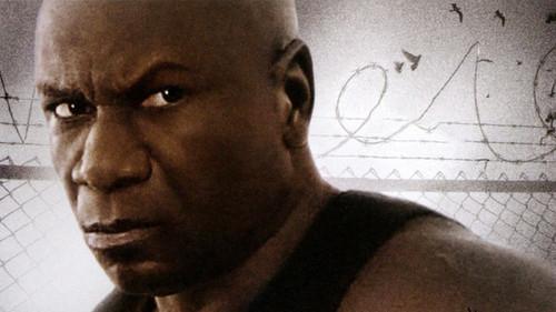 Animal filmas žiurėti online