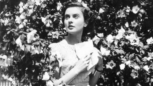 Vesna filmas žiurėti online